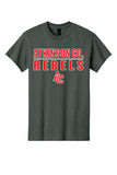 300- Atkinson Co. Rebels