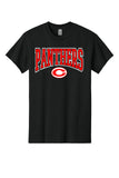 47- Clinch Panthers