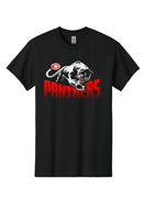 48-Panther