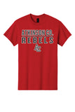 300- Atkinson Co. Rebels